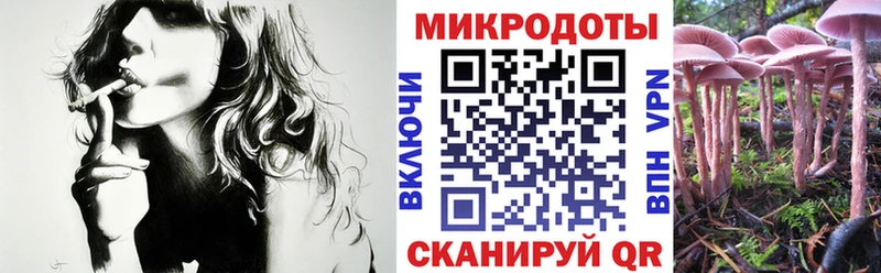купить   Поворино  Псилоцибиновые грибы ЛСД 